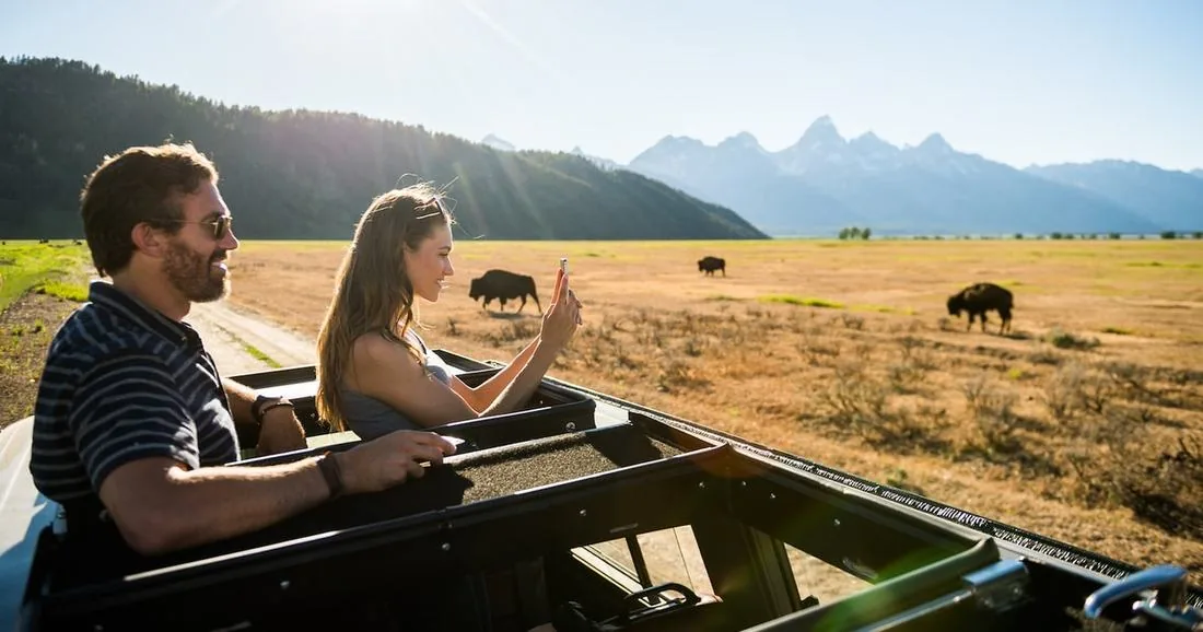 From Jackson: 4-Hour Eco Safari in Grand Teton National Park